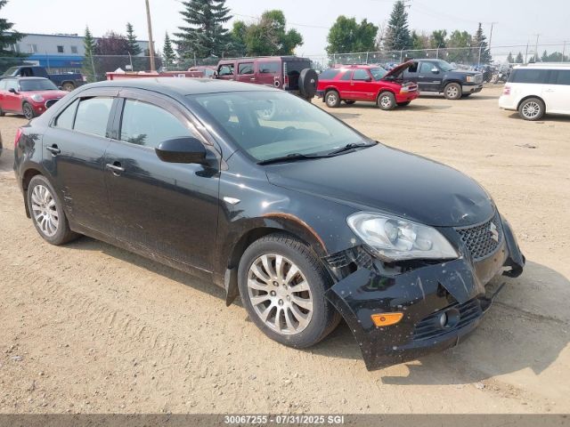 Suzuki Kizashi