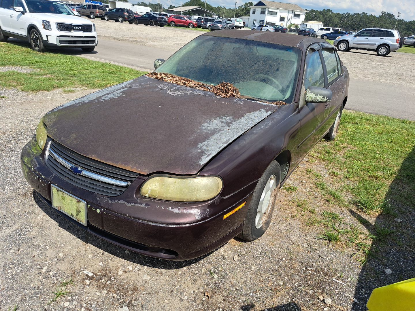 Chevrolet Malibu