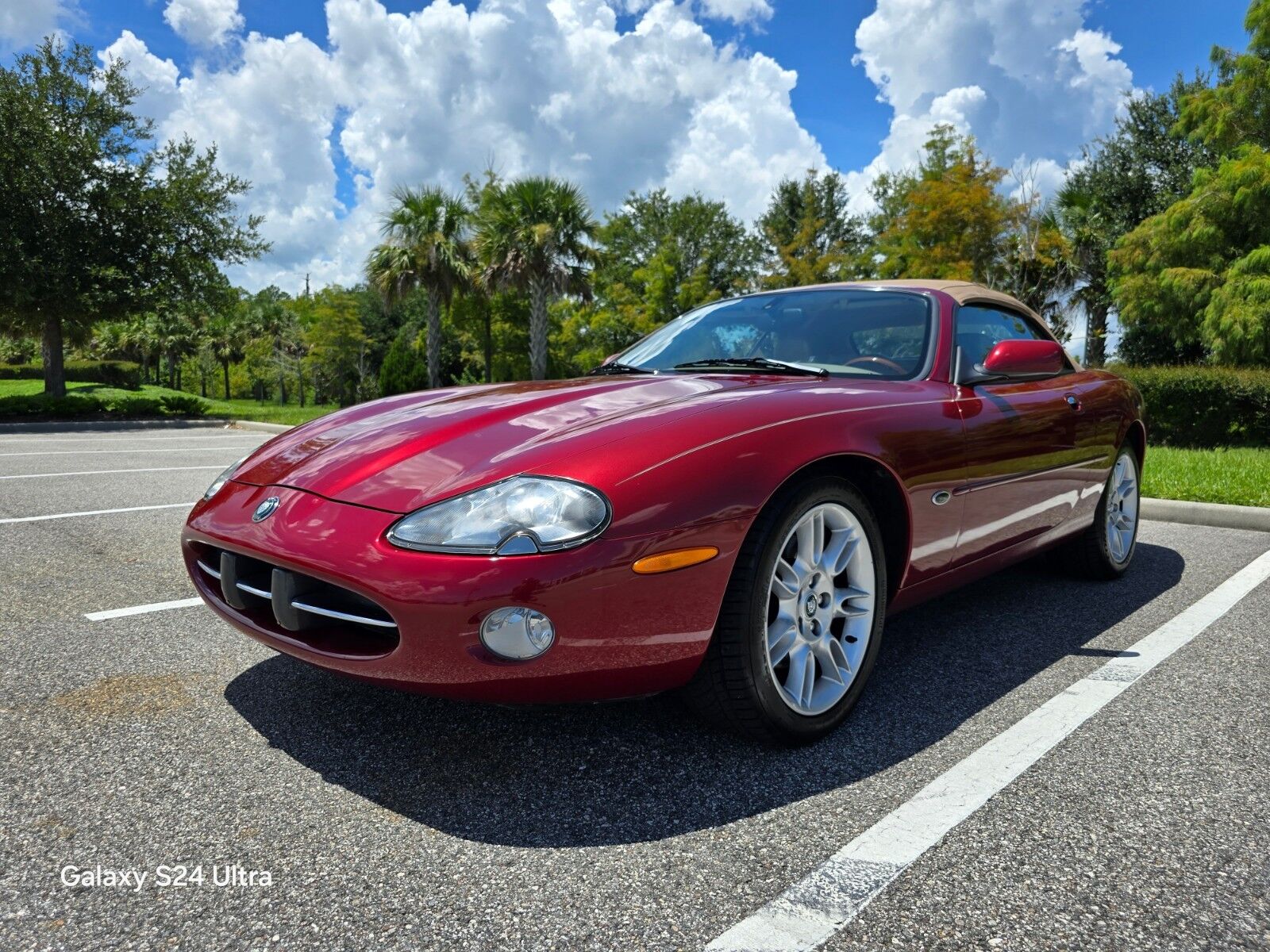 Jaguar XK8