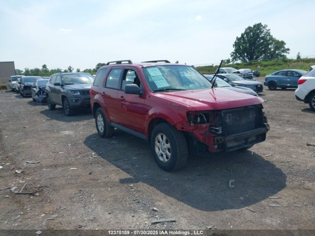 Mazda Tribute