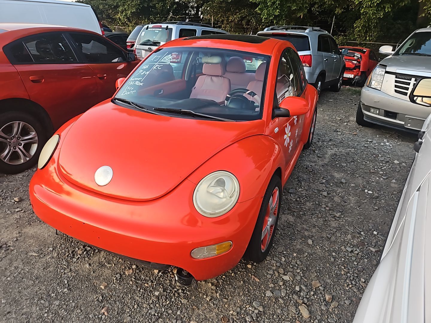 Volkswagen Beetle