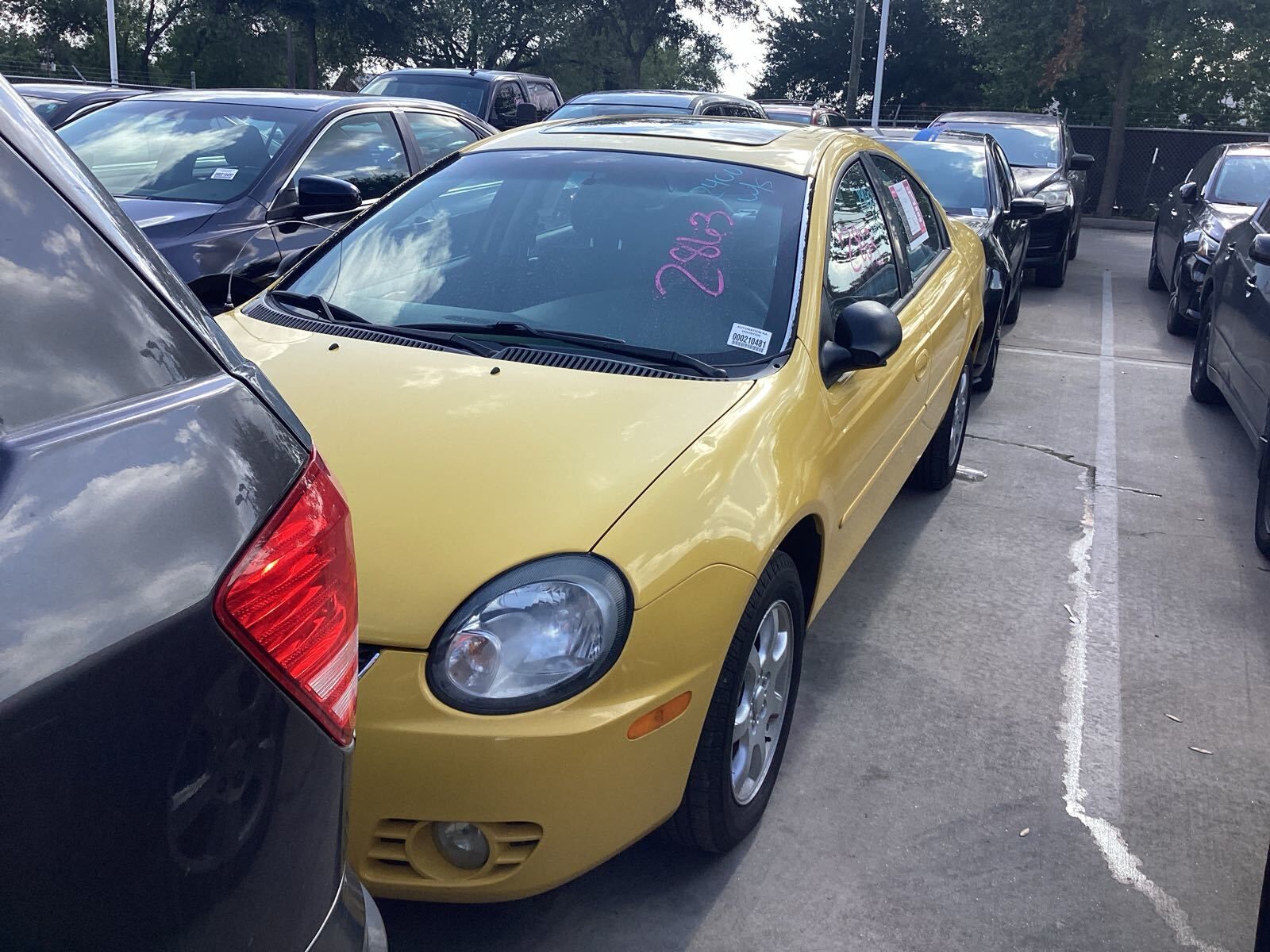 Dodge Neon