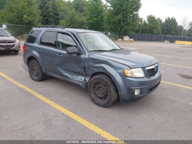 Mazda Tribute