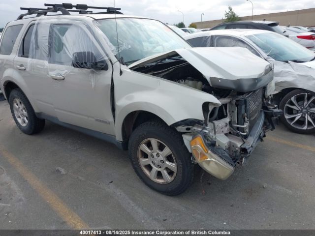 Mazda Tribute