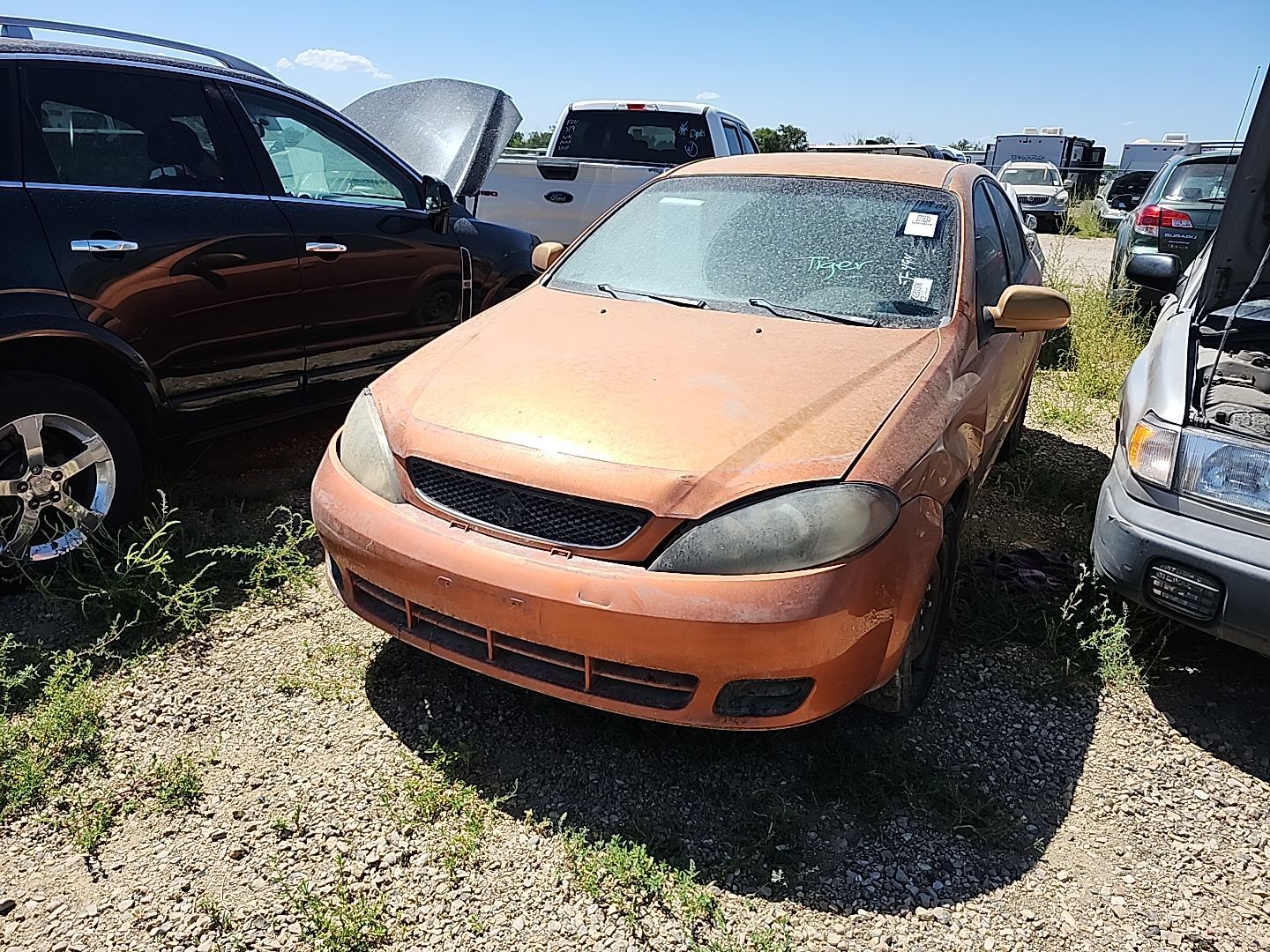 Suzuki Reno