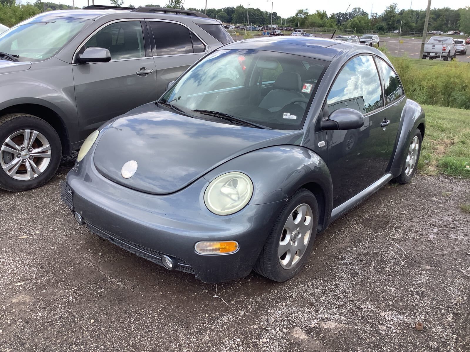 Volkswagen Beetle