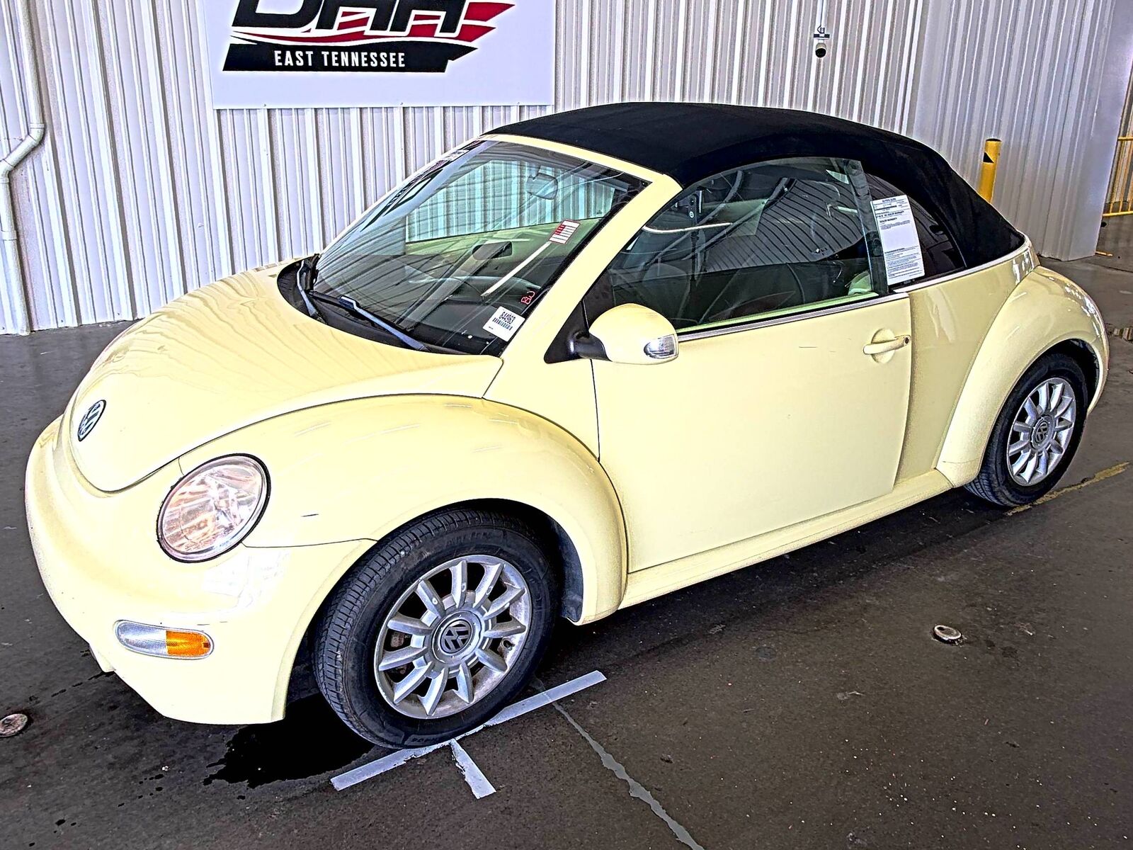 Volkswagen Beetle