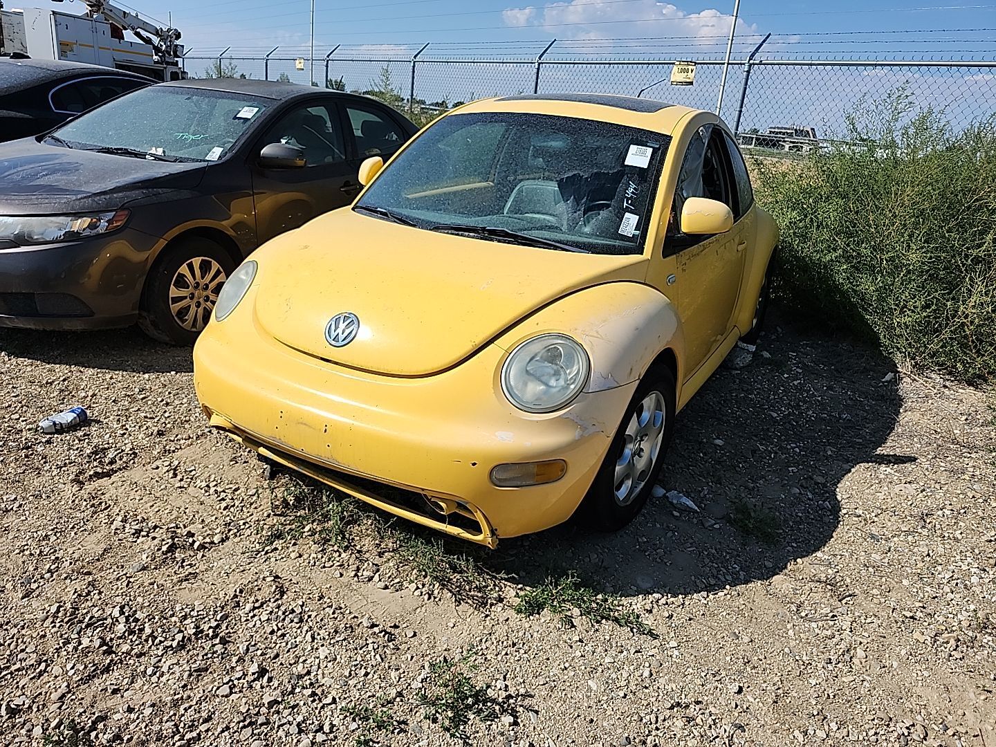Volkswagen Beetle