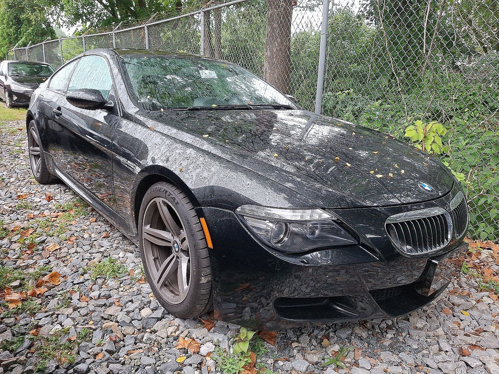 BMW M6