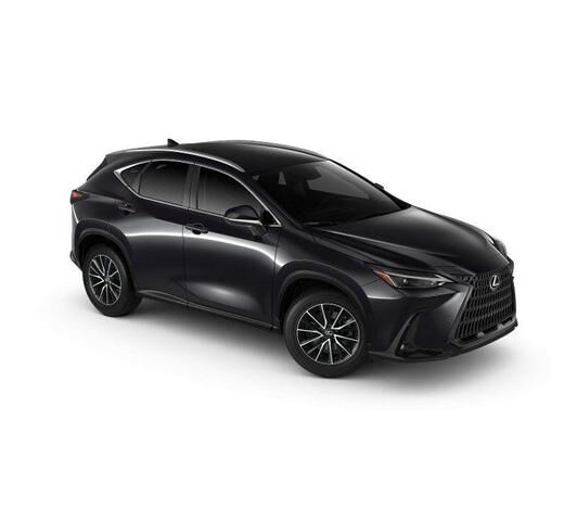 2025 LEXUS NX