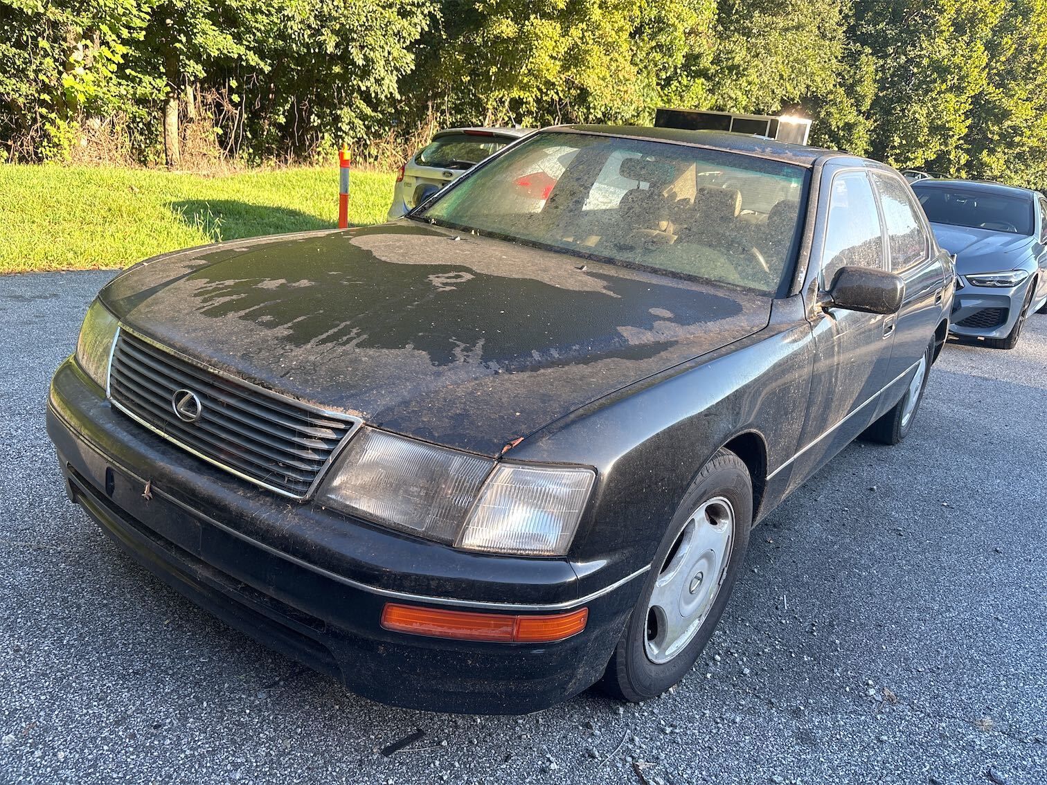 Lexus LS