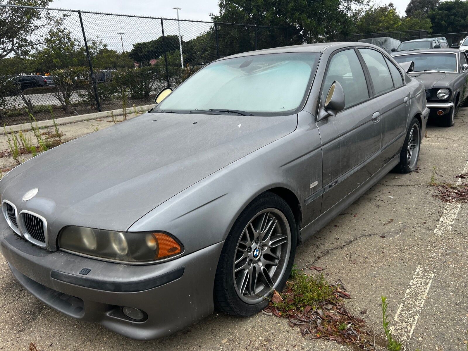 BMW M5