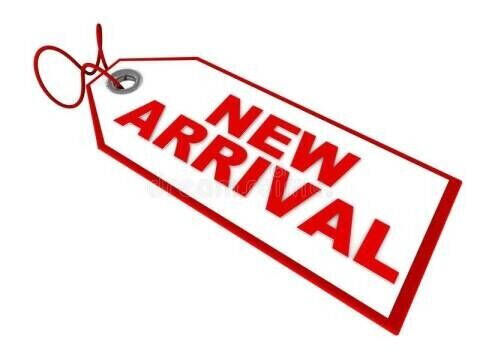 2003 MERCEDES-BENZ CLK-Class