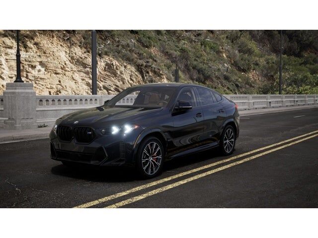 2026 BMW X6