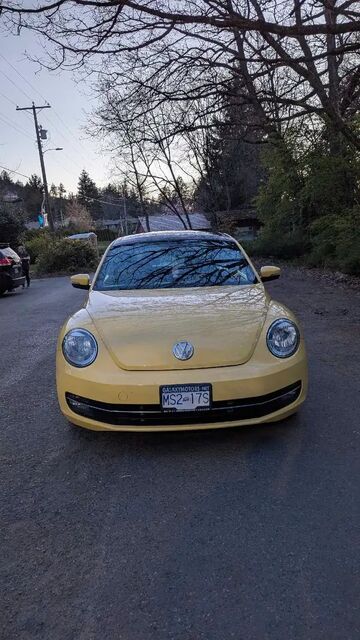 Volkswagen Beetle