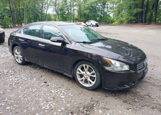 Nissan Maxima
