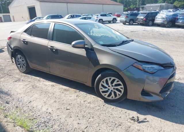 2019 TOYOTA Corolla