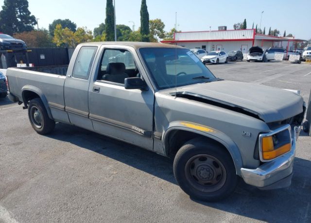 Dodge Dakota