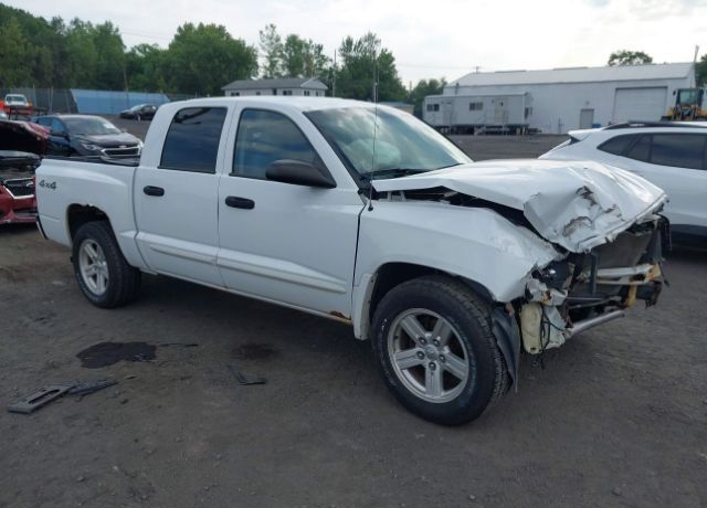 Dodge Dakota