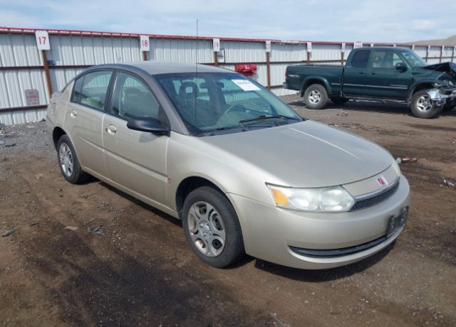 Saturn Ion