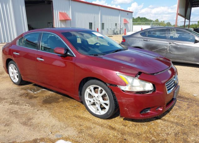 Nissan Maxima