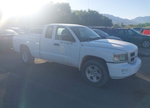 Dodge Dakota
