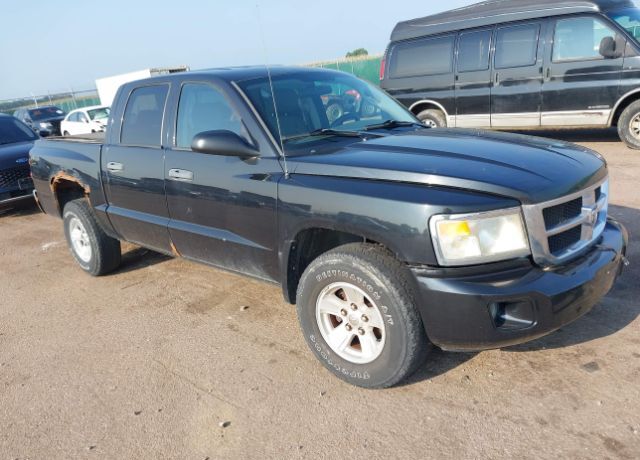 Dodge Dakota