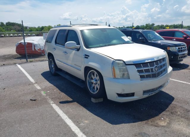 2008 CADILLAC Escalade
