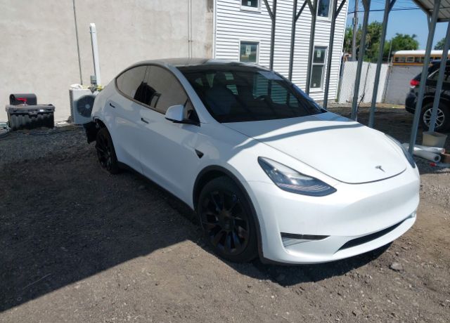 2020 TESLA Model Y