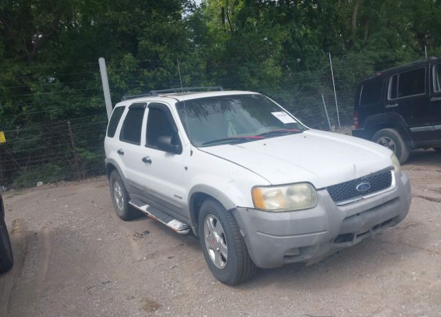 Ford Escape