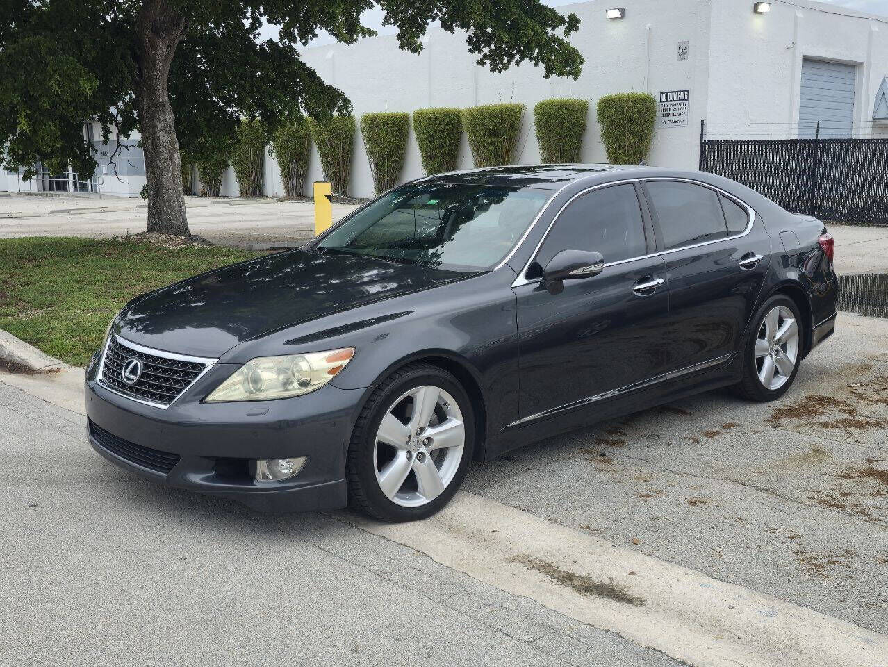 Lexus LS