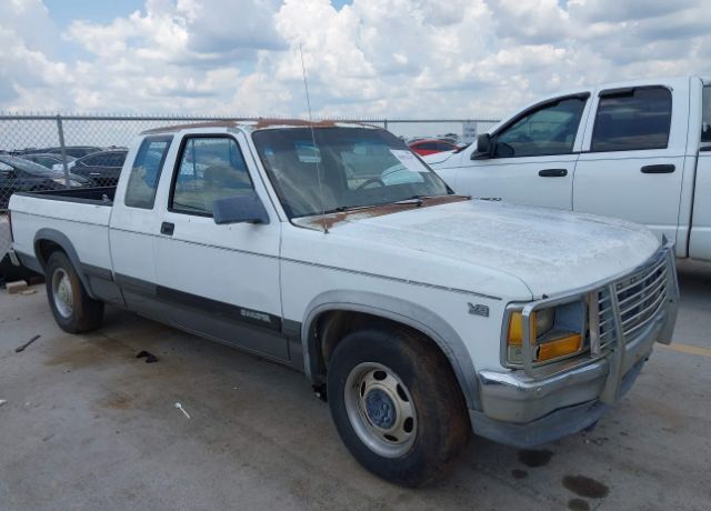 Dodge Dakota