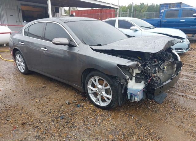 Nissan Maxima