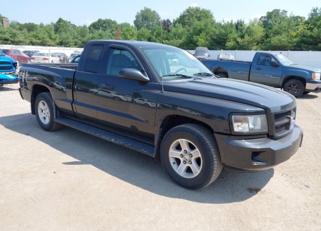 Dodge Dakota