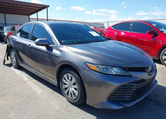2020 TOYOTA Camry