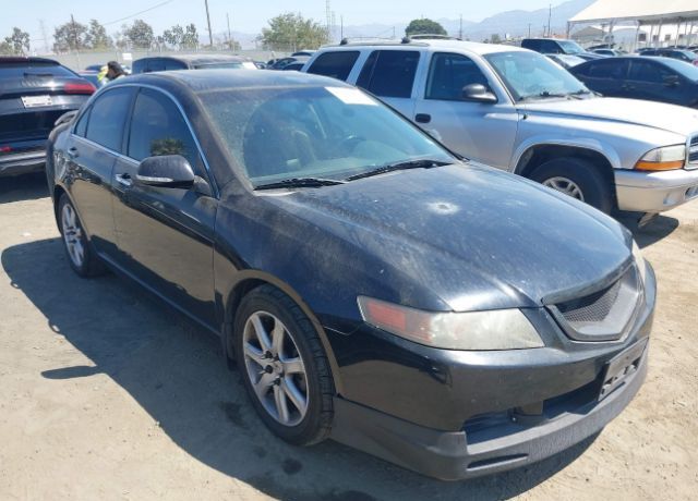 Acura TSX