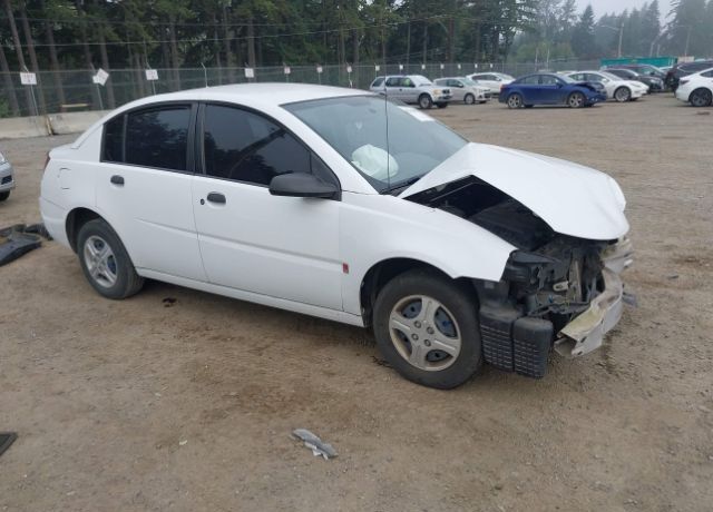 Saturn Ion