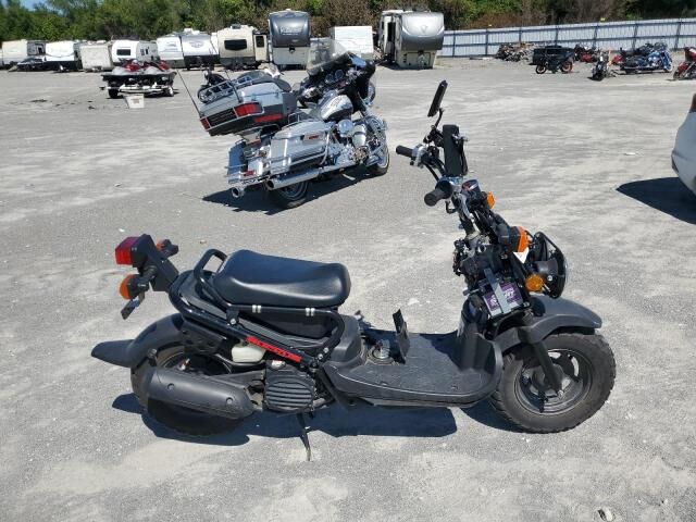 Honda NPS50 (Ruckus)