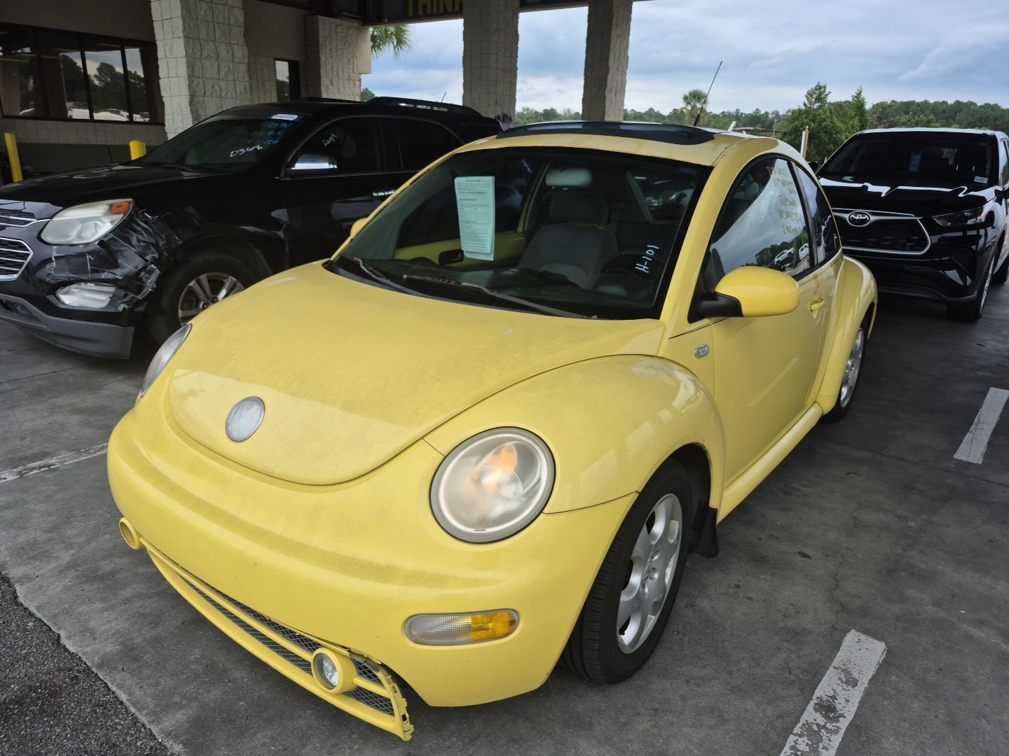 Volkswagen Beetle