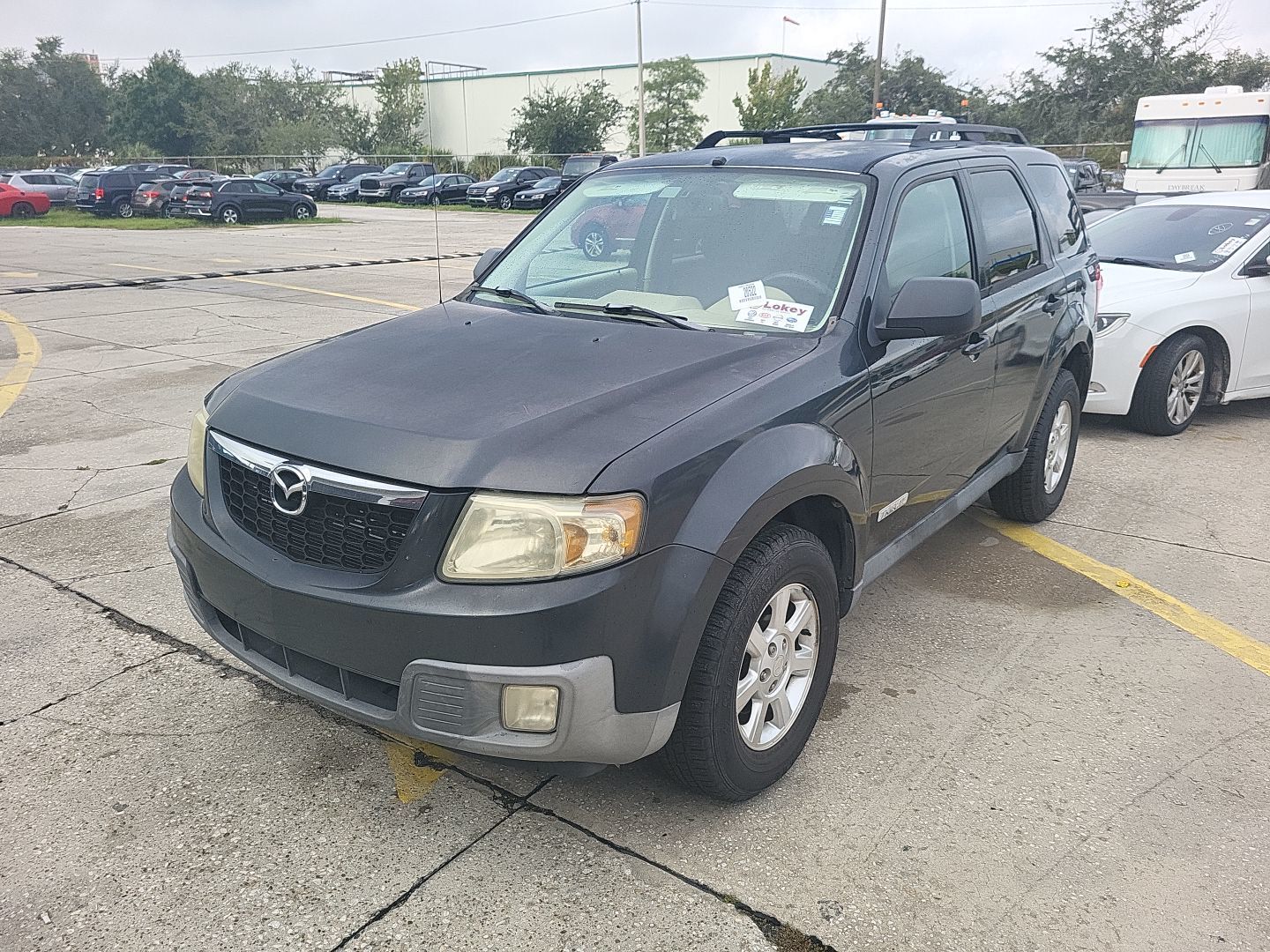 Mazda Tribute
