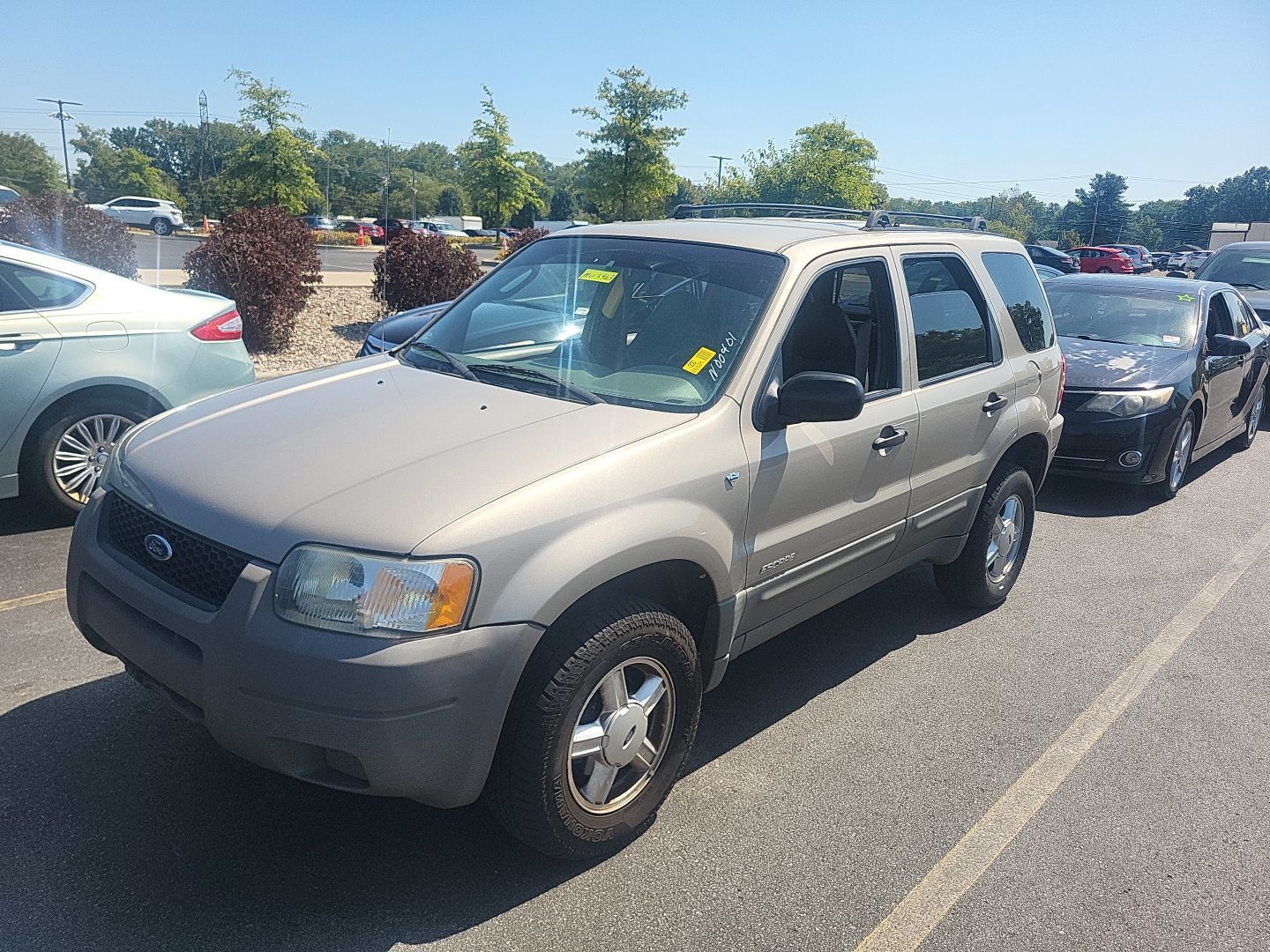 Ford Escape