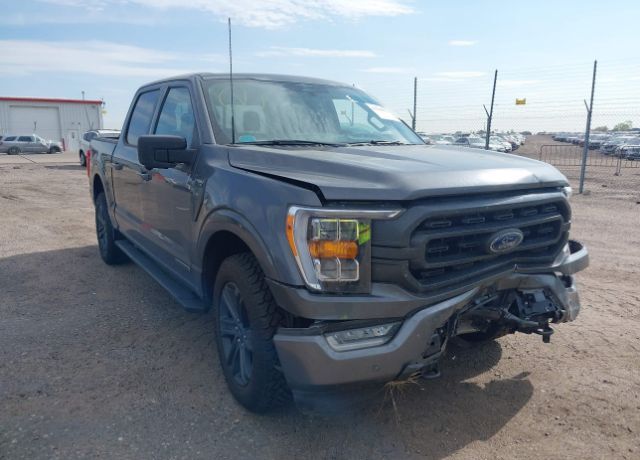 2023 FORD F-150