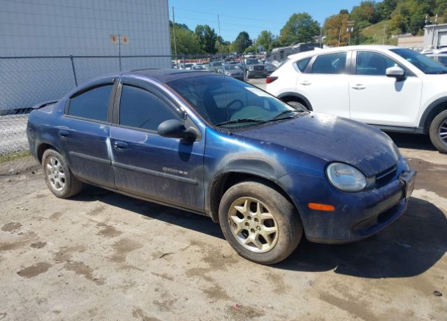 Dodge Neon