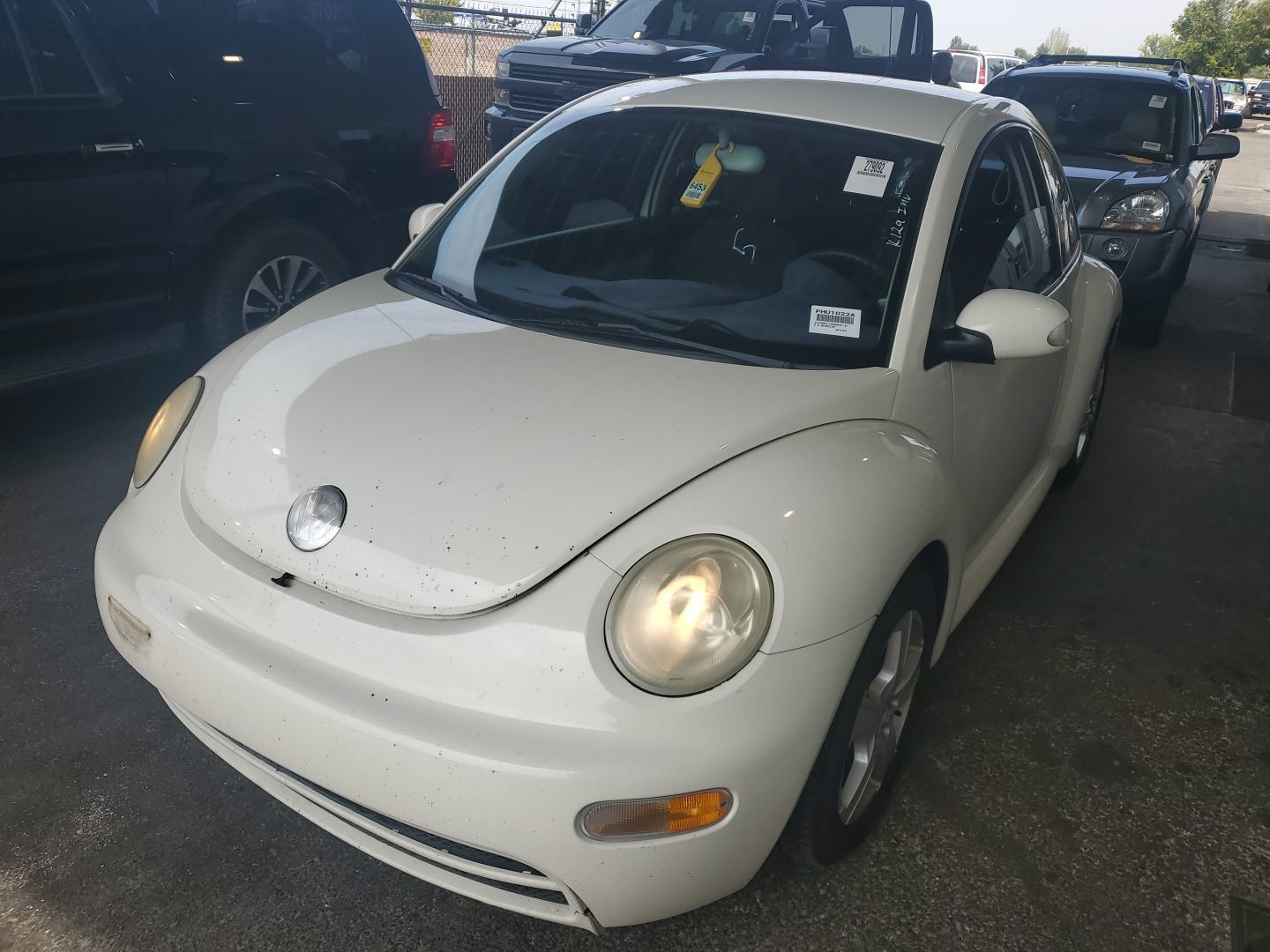 Volkswagen Beetle