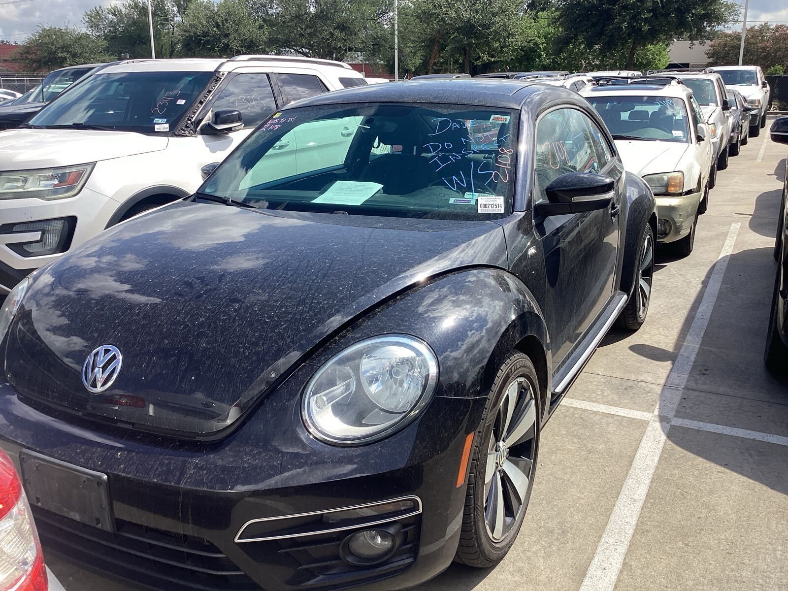 Volkswagen Beetle