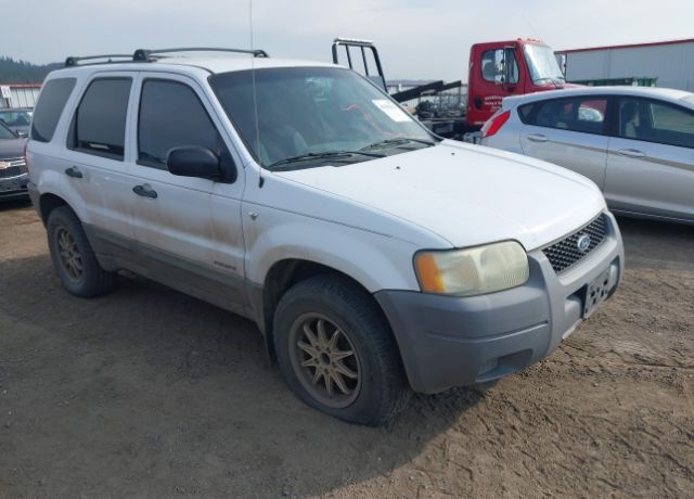 Ford Escape