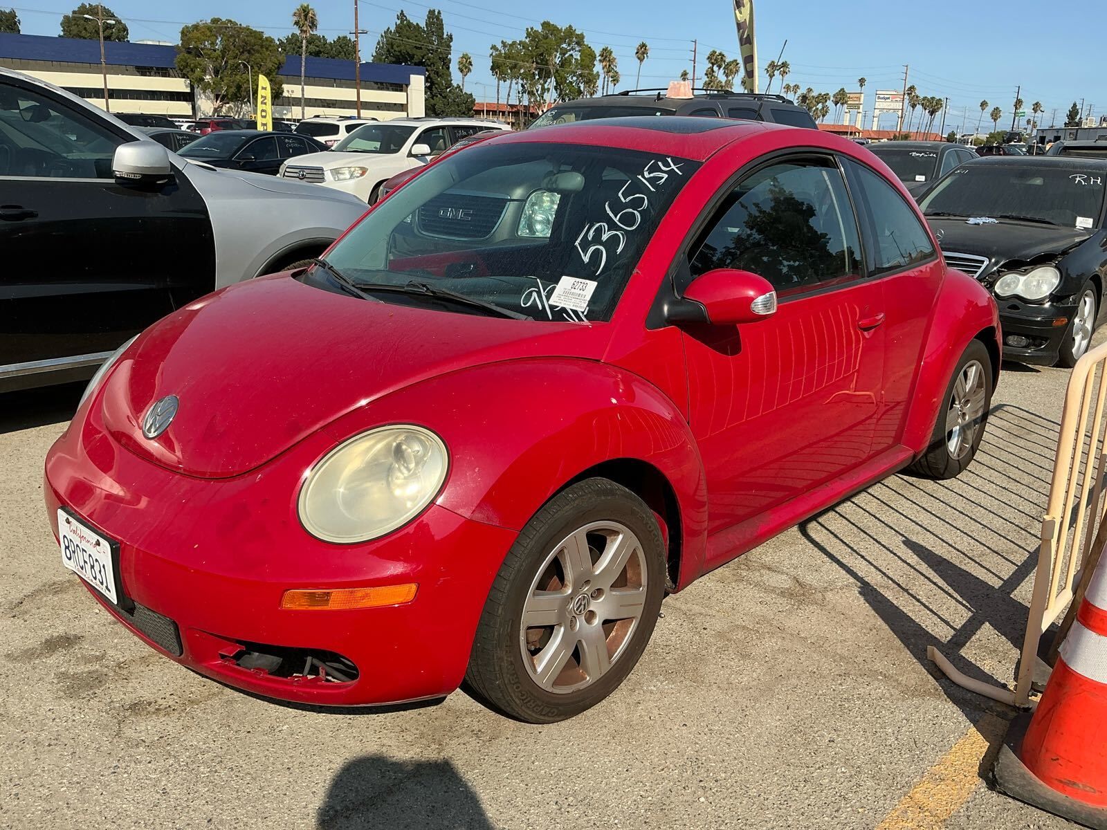 Volkswagen Beetle