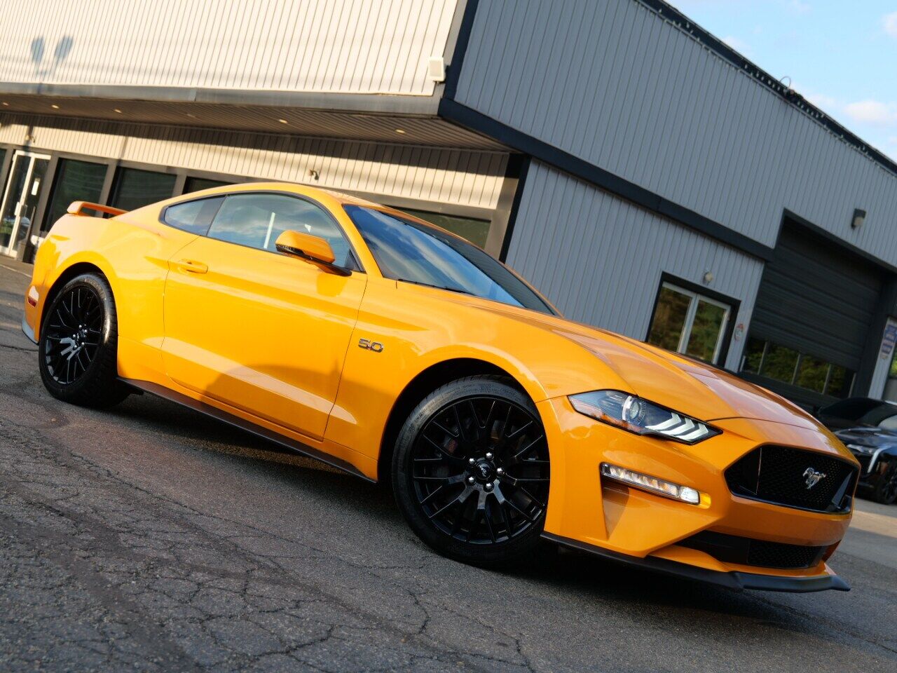 2019 FORD Mustang