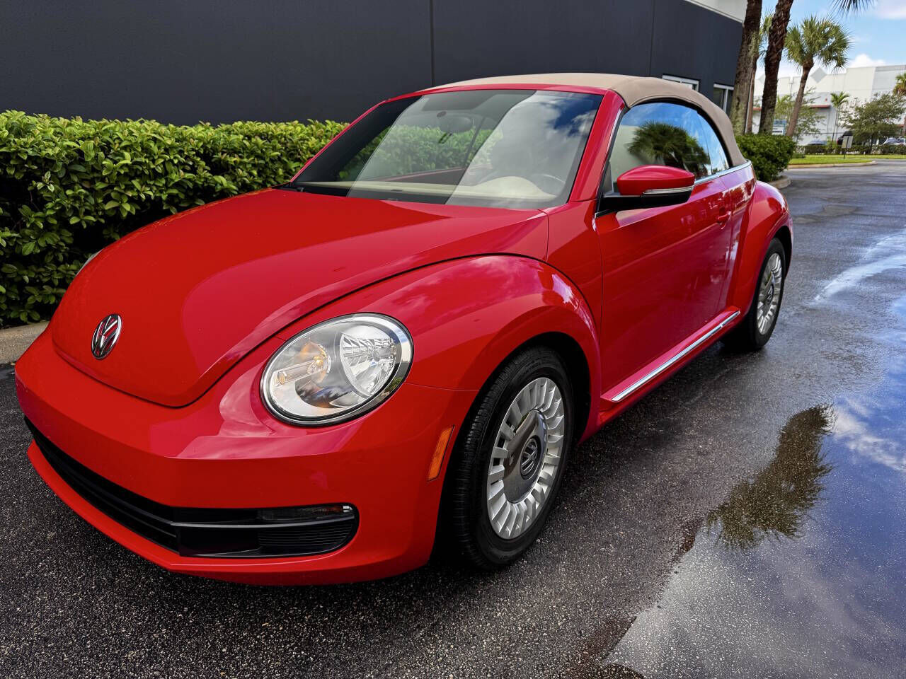 Volkswagen Beetle