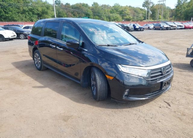 2022 HONDA Odyssey